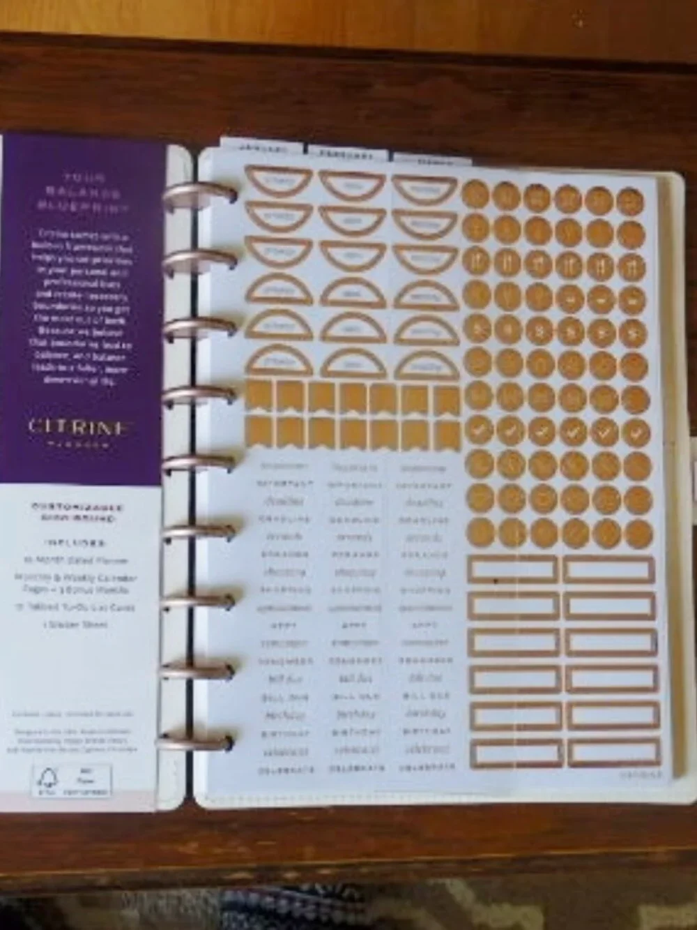 2026 Citrine 2026 Weekly * Monthly Planner